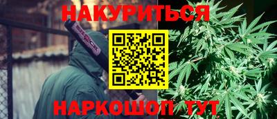мяу мяу мука Лесосибирск