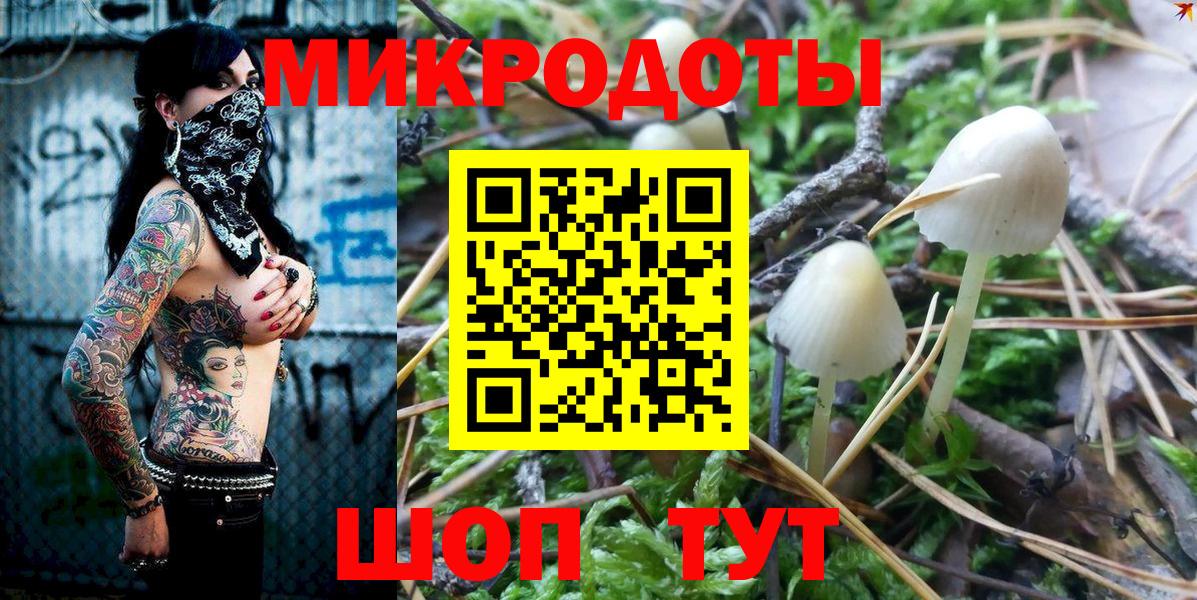Псилоцибиновые грибы Psilocybine cubensis Ярцево
