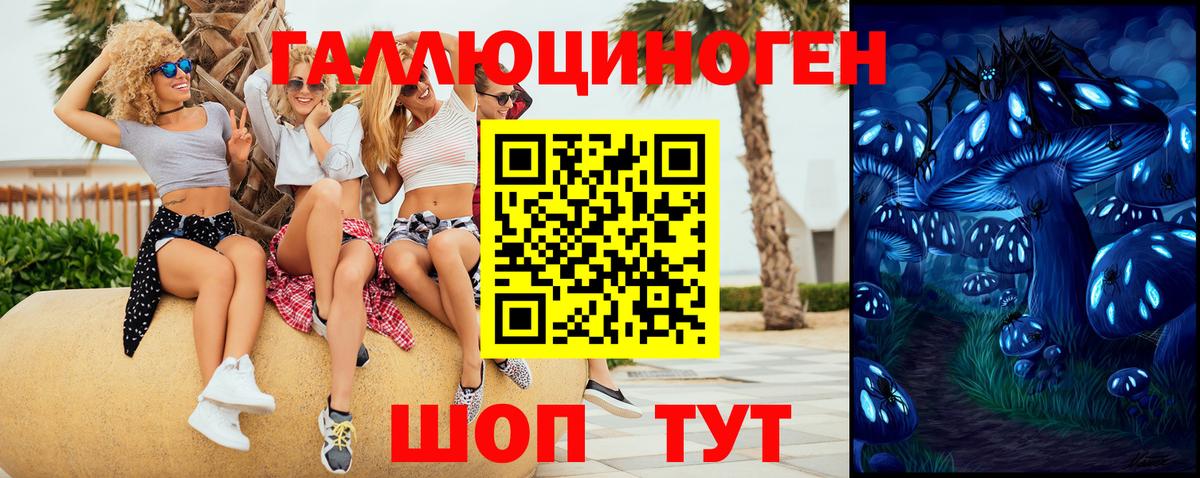 Псилоцибиновые грибы Magic Shrooms  Вход с VPN  Ярцево  наркотики  Псилоцибиновые грибы Psilocybine cubensis 